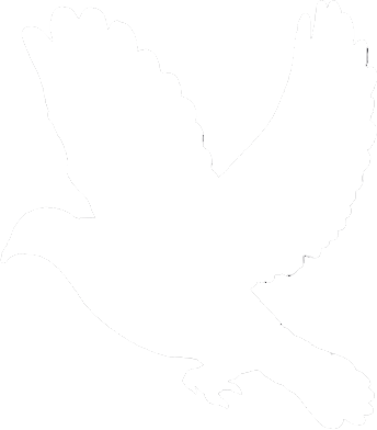 Wewillbebirds